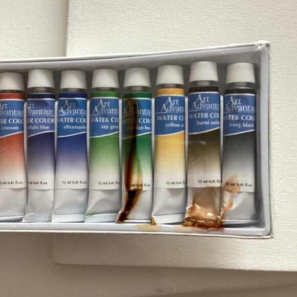 12 Art Advantage Watercolor Paints + Stapled Traditional White Blank Canvas - Picture 4 of 7